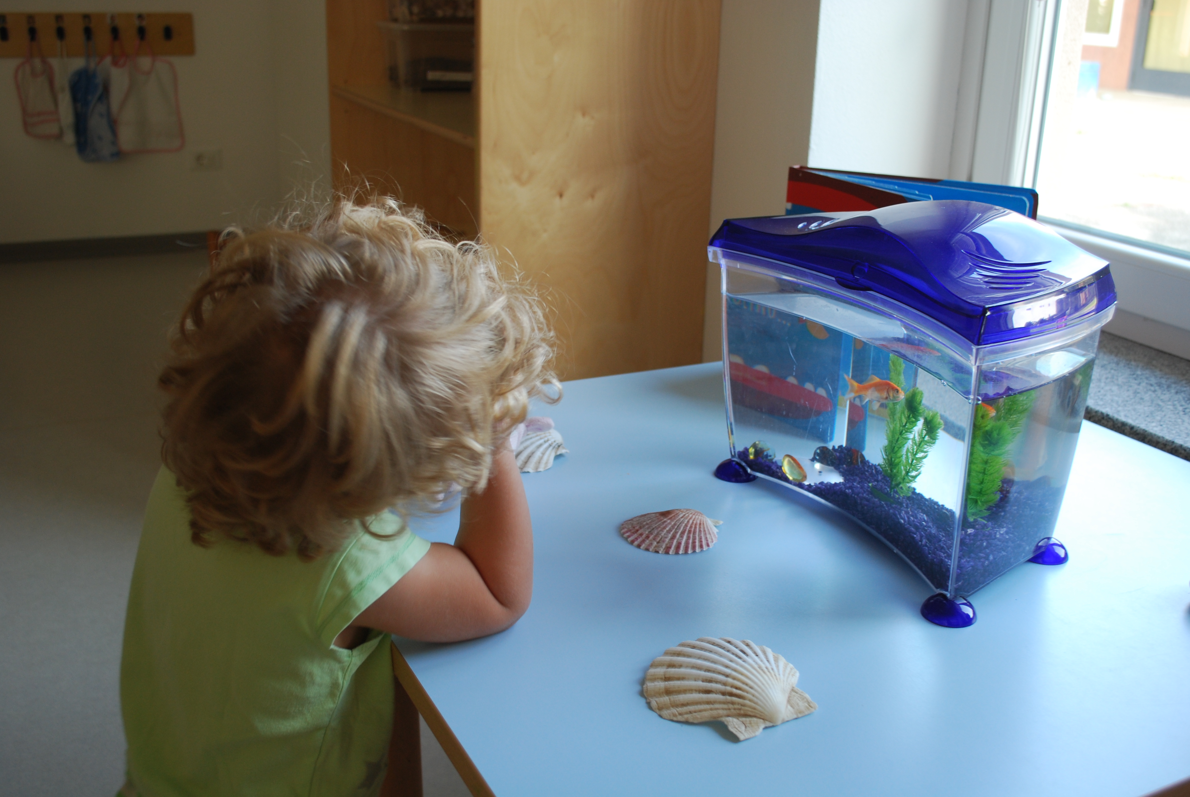 I nostri servizi per la prima infanzia